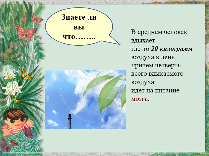 Презентация по окружающему миру "Вода и воздух - источник жизни"
