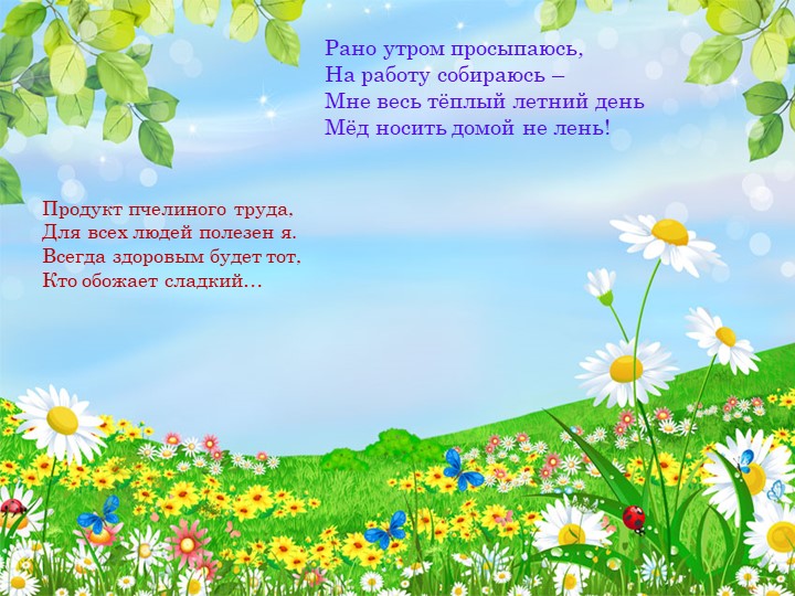 Презентация по окружающему миру "Насекомые"