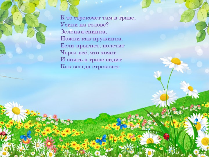 Презентация по окружающему миру "Насекомые"