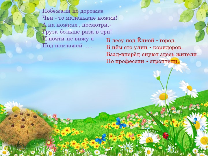 Презентация по окружающему миру "Насекомые"