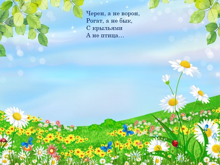 Презентация по окружающему миру "Насекомые"