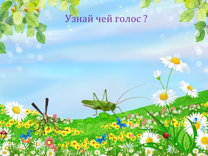 Презентация по окружающему миру "Насекомые"