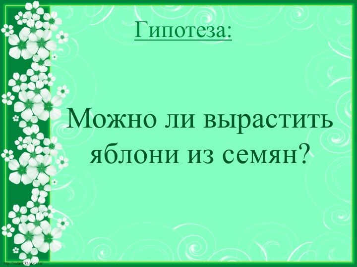 Исследовательский проект на тему "Яблочко душистое, румяно - золотистое"