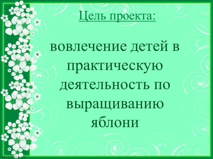 Исследовательский проект на тему "Яблочко душистое, румяно - золотистое"