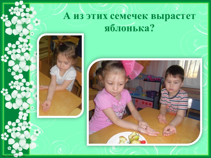 Исследовательский проект на тему "Яблочко душистое, румяно - золотистое"