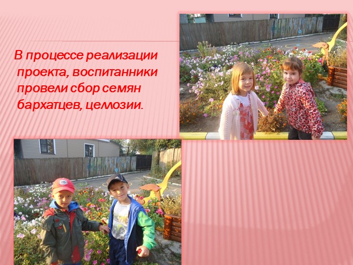 Презентация на тему "Мир семян"