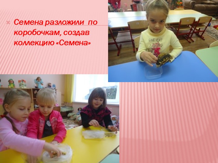 Презентация на тему "Мир семян"