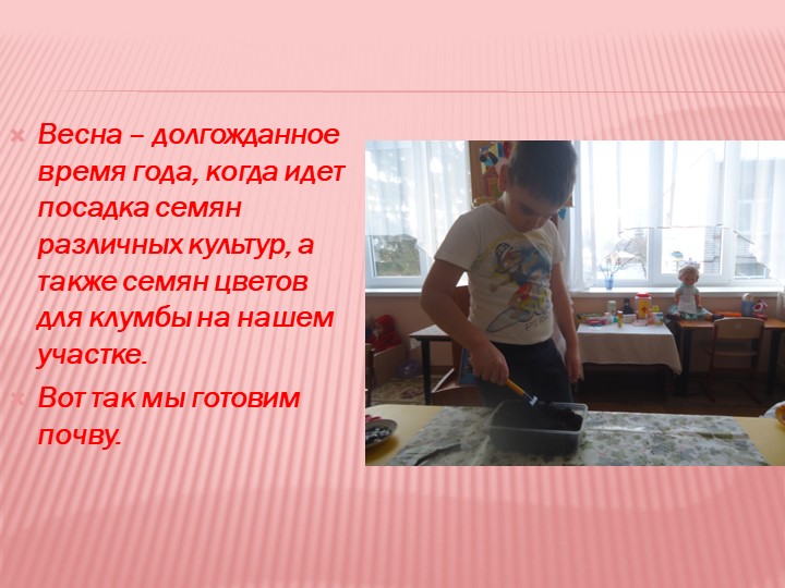 Презентация на тему "Мир семян"