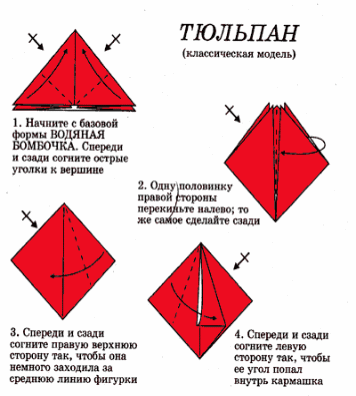 Shape4