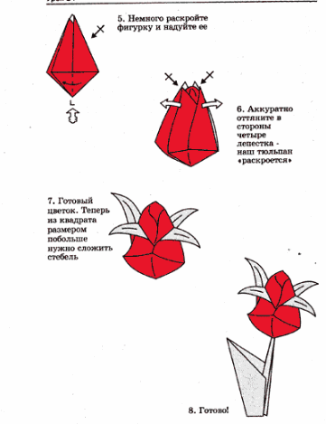 Shape5