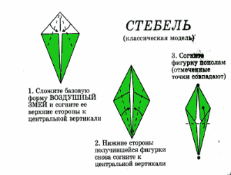 Shape6