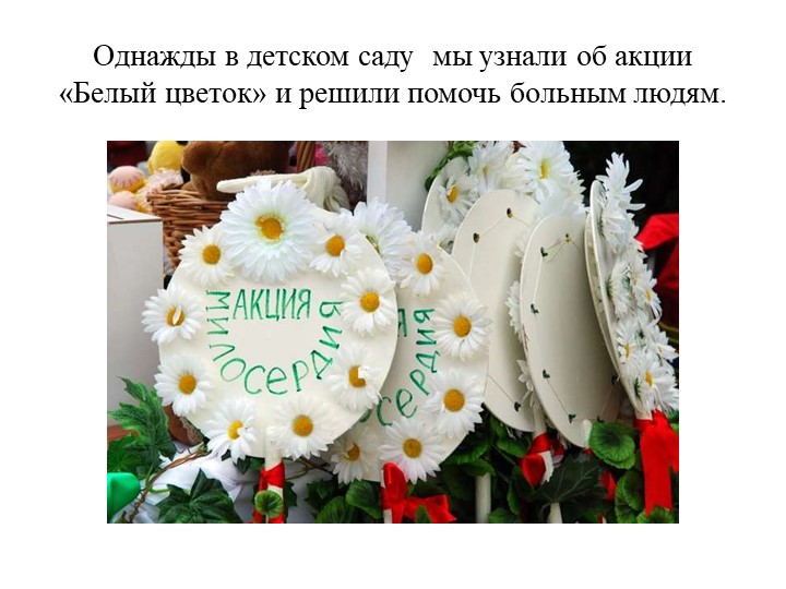 Презентация Как мы участвовали в акции "Белый цветок"