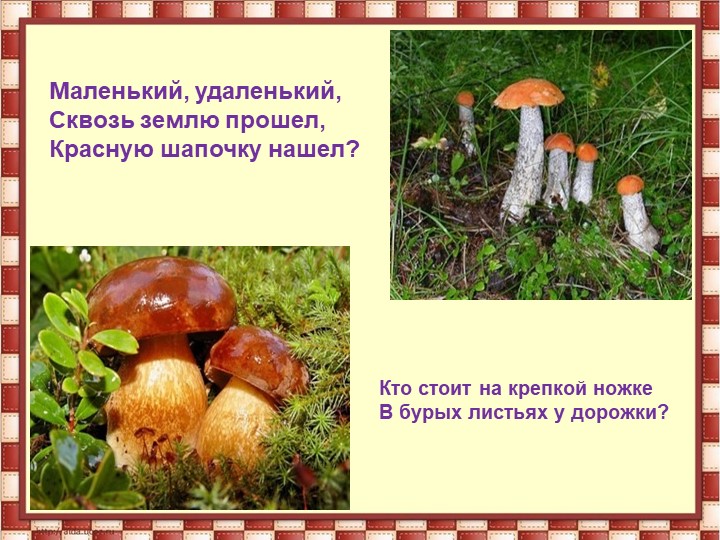 Презентация на тему " Осень"