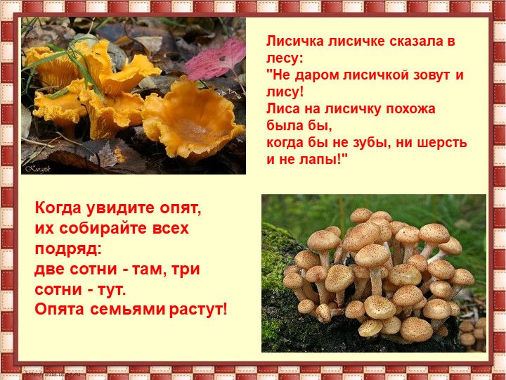 Презентация на тему " Осень"