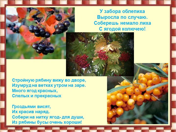 Презентация на тему " Осень"