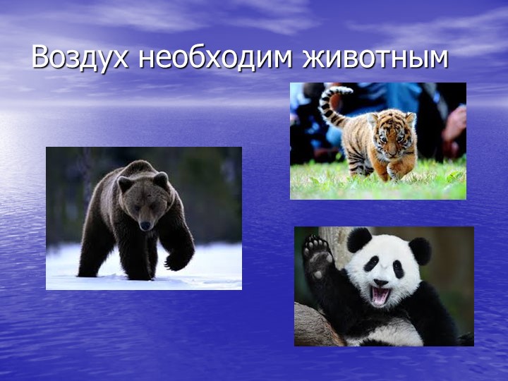 Презентация на тему " Воздух"