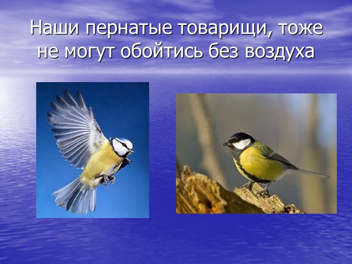 Презентация на тему " Воздух"