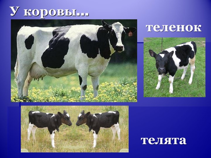 Разработка конспекта по математике во второй младшей группе