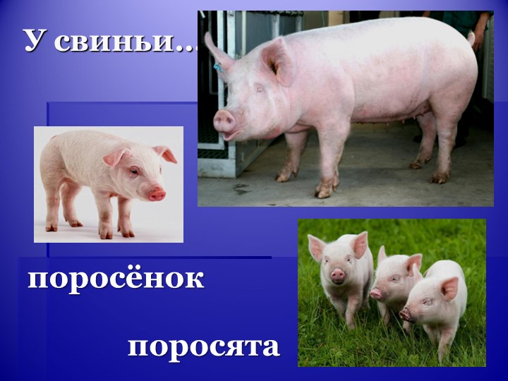 Разработка конспекта по математике во второй младшей группе