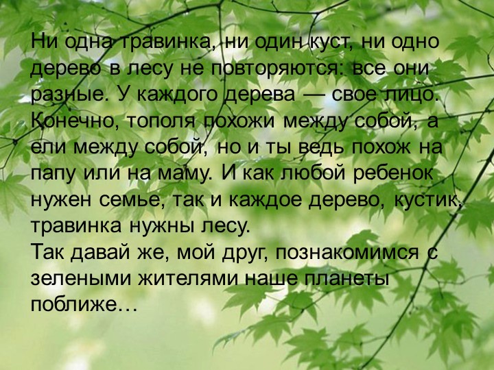 Презентация по познавательному экологическому развитию на тему "Деревья"