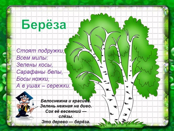 Презентация по познавательному экологическому развитию на тему "Деревья"