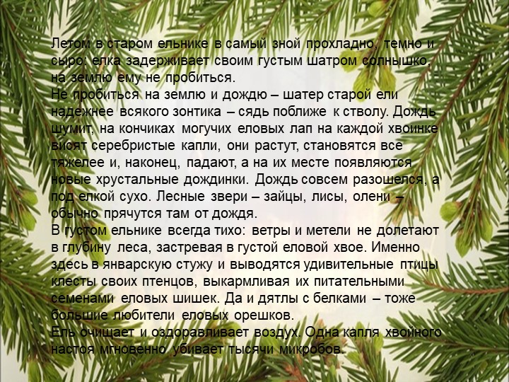 Презентация по познавательному экологическому развитию на тему "Деревья"