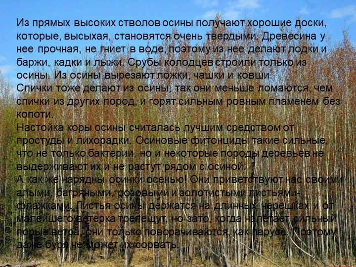 Презентация по познавательному экологическому развитию на тему "Деревья"