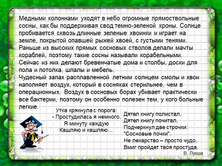 Презентация по познавательному экологическому развитию на тему "Деревья"