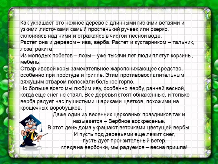 Презентация по познавательному экологическому развитию на тему "Деревья"