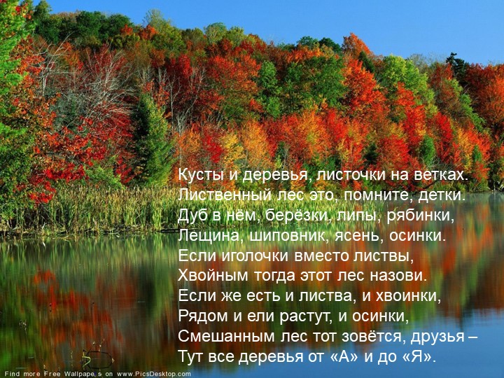 Презентация по познавательному экологическому развитию на тему "Деревья"