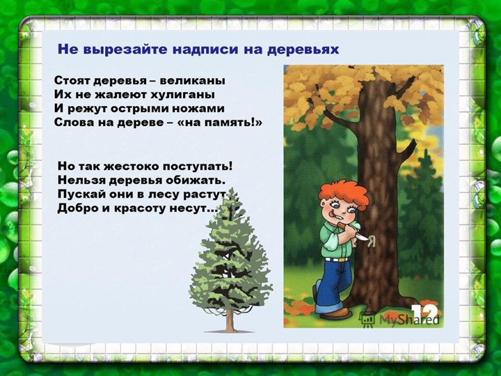 Презентация по познавательному экологическому развитию на тему "Деревья"