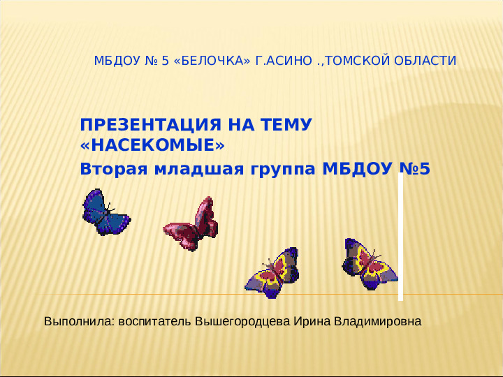Насекомые. Презентация для детей