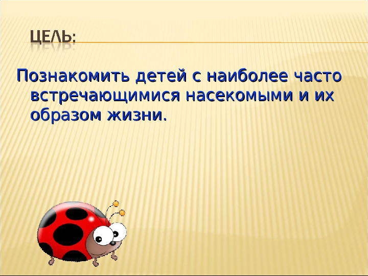 Насекомые. Презентация для детей