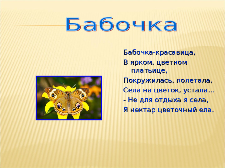 Насекомые. Презентация для детей