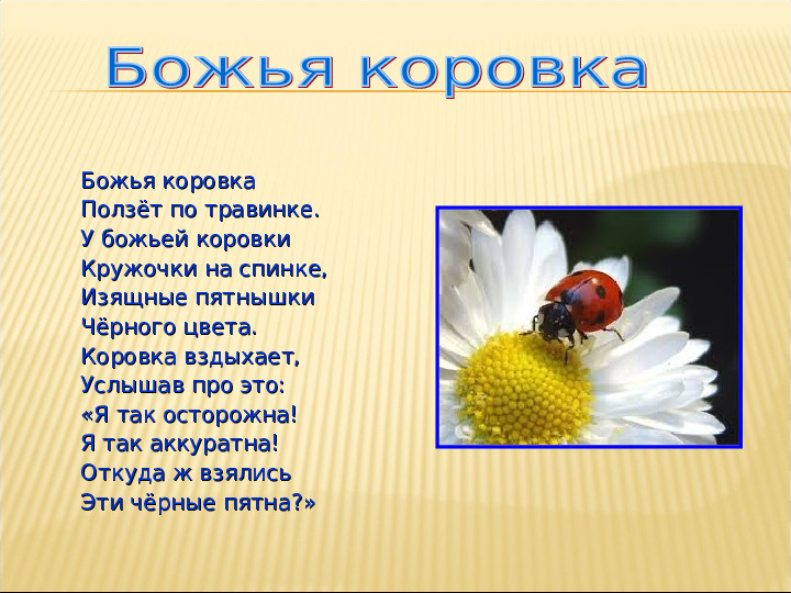 Насекомые. Презентация для детей