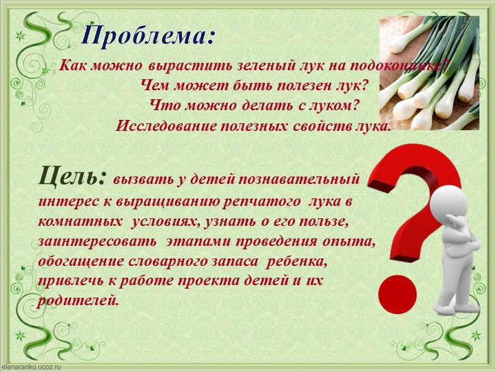 Проект Господин Лук для детей старшей группы