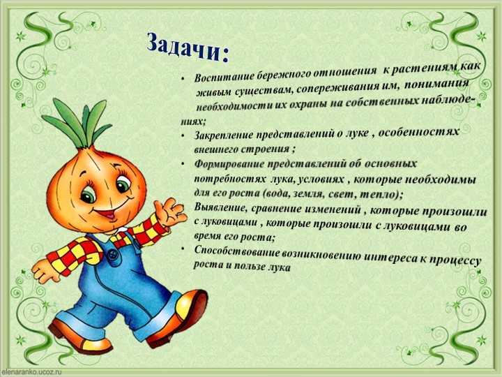 Проект Господин Лук для детей старшей группы