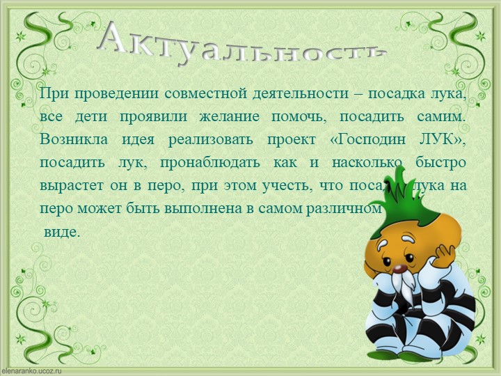 Проект Господин Лук для детей старшей группы