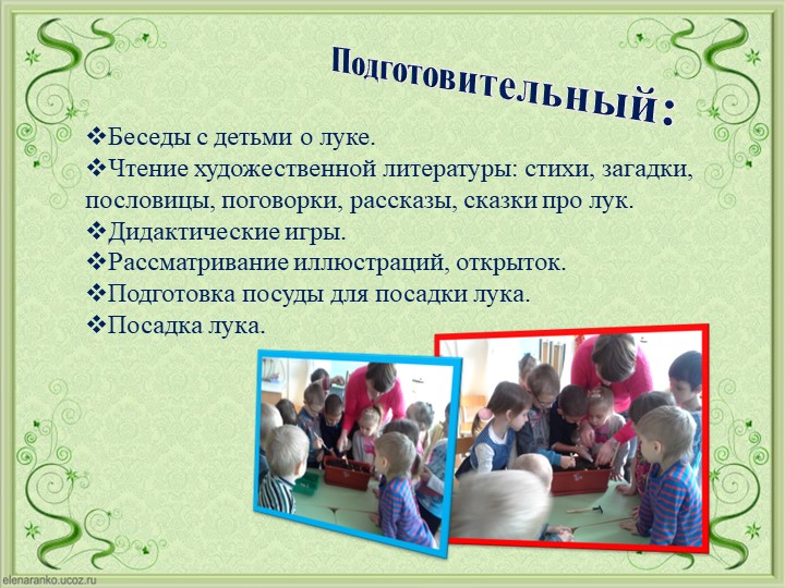 Проект Господин Лук для детей старшей группы