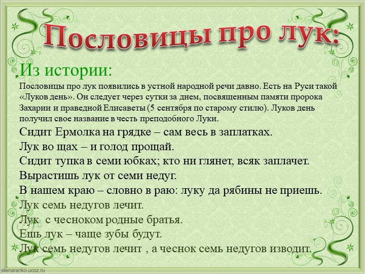 Проект Господин Лук для детей старшей группы