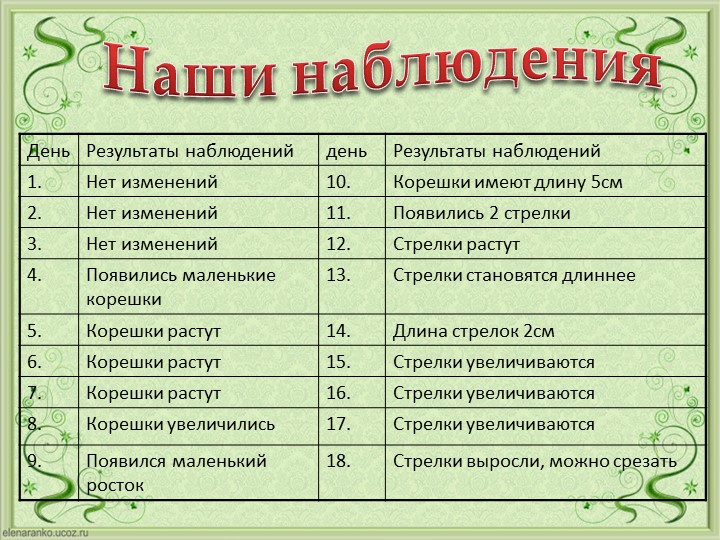 Проект Господин Лук для детей старшей группы