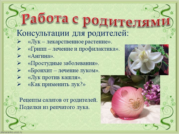 Проект Господин Лук для детей старшей группы