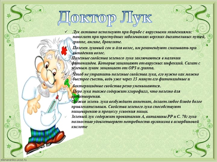 Проект Господин Лук для детей старшей группы