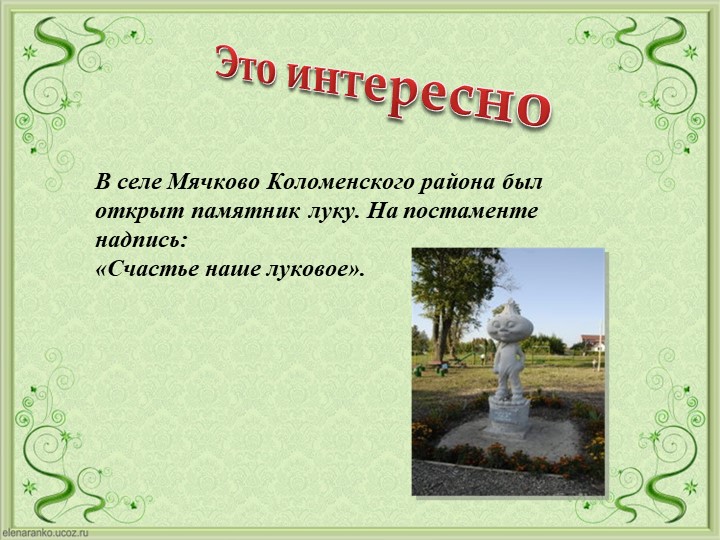 Проект Господин Лук для детей старшей группы
