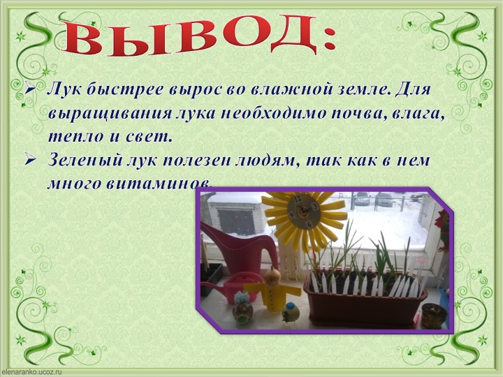Проект Господин Лук для детей старшей группы
