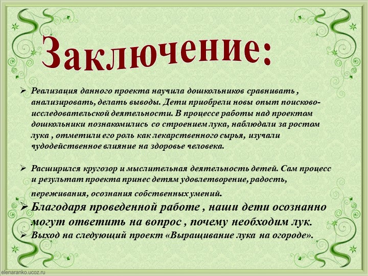 Проект Господин Лук для детей старшей группы