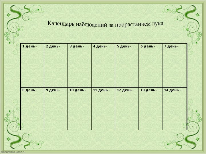 Проект Господин Лук для детей старшей группы