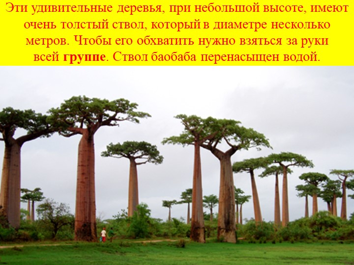 Презентация на тему "Солнечная страна".