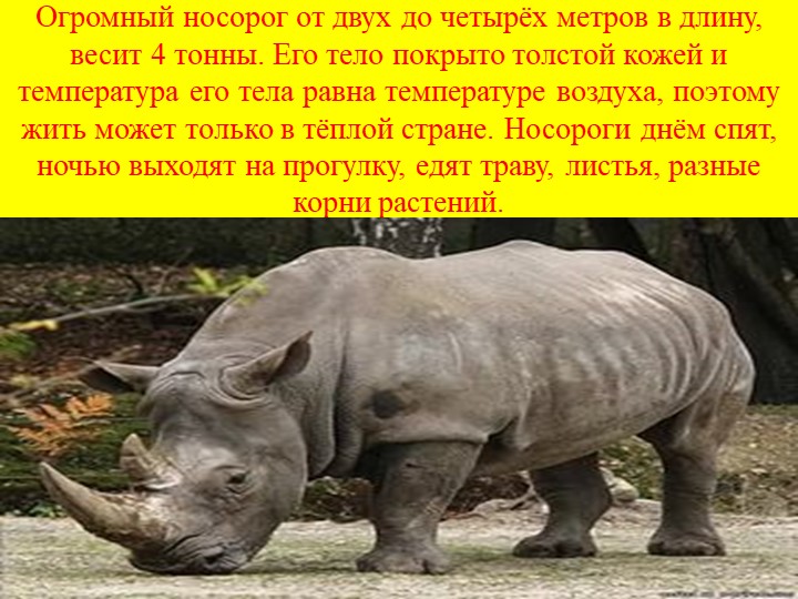 Презентация на тему "Солнечная страна".