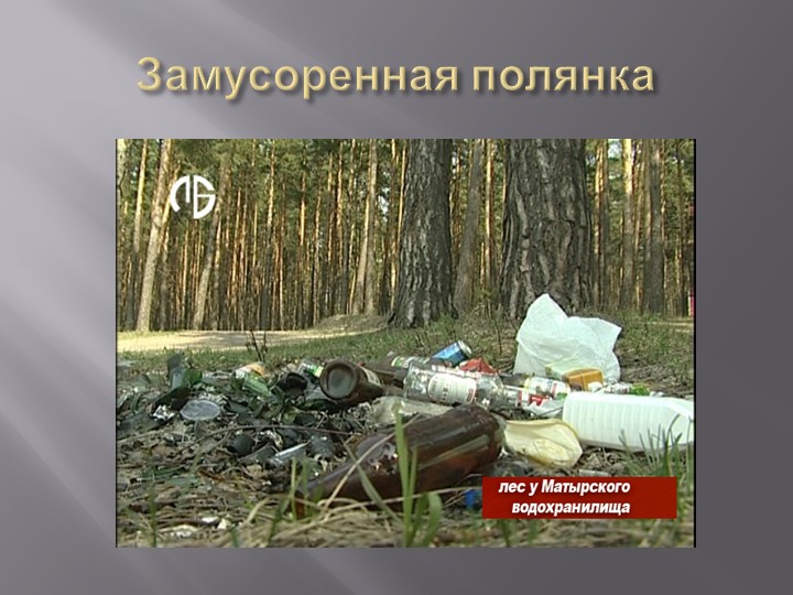 Презентация на тему "Деревья Воронежского края".